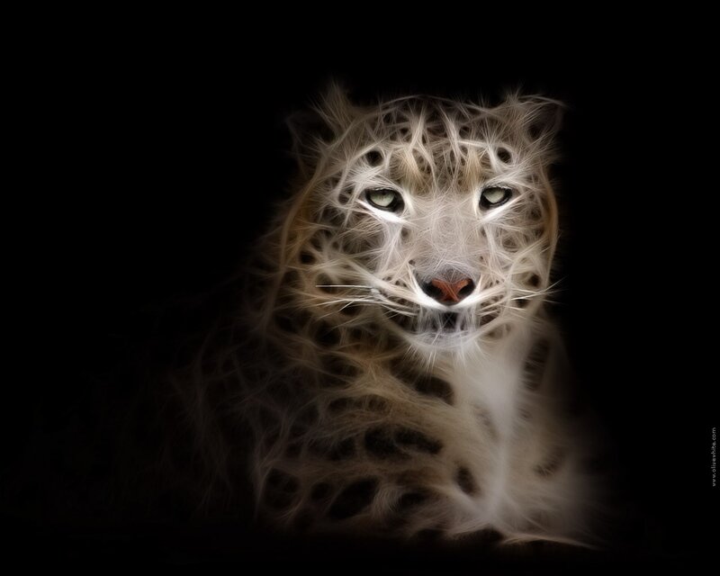 fractal snow leopard portrait