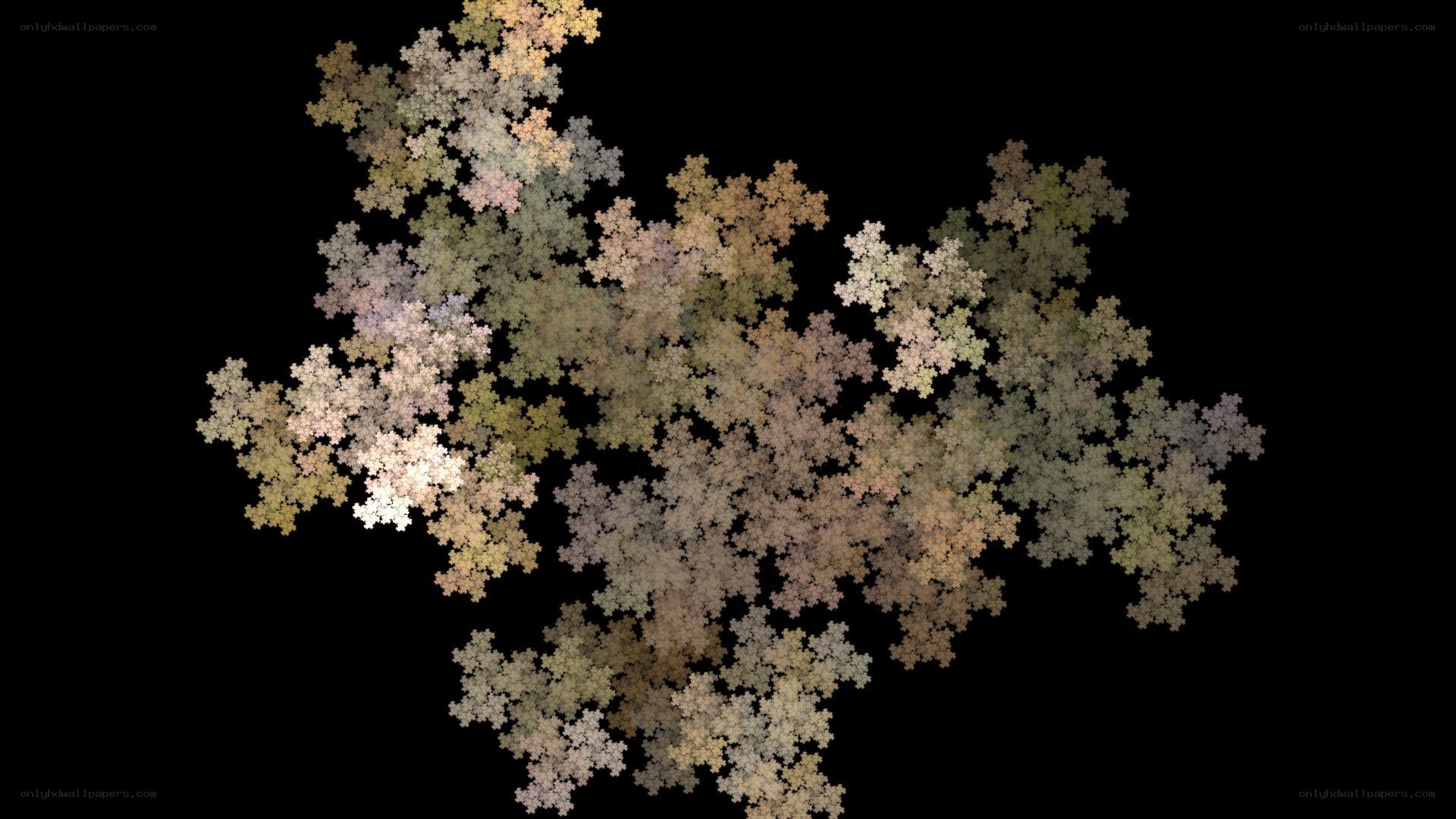 Fractal snowflake pattern
