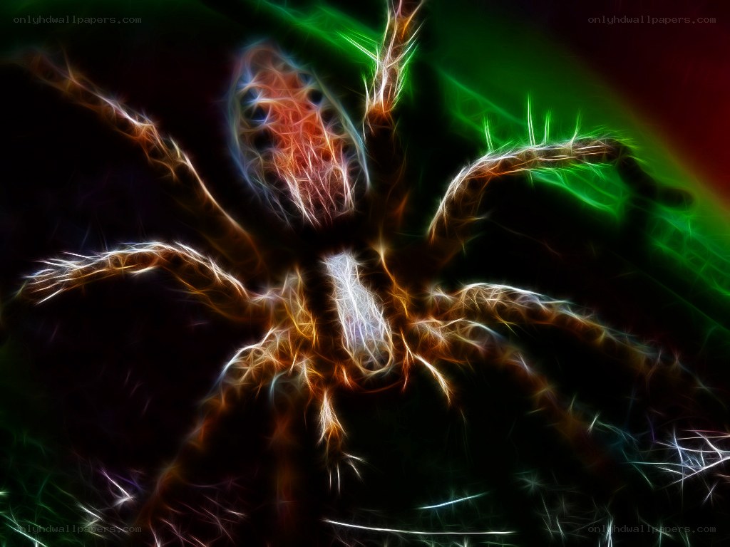 fractal spider art