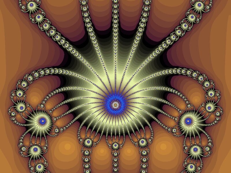 Fractal Spider Pattern