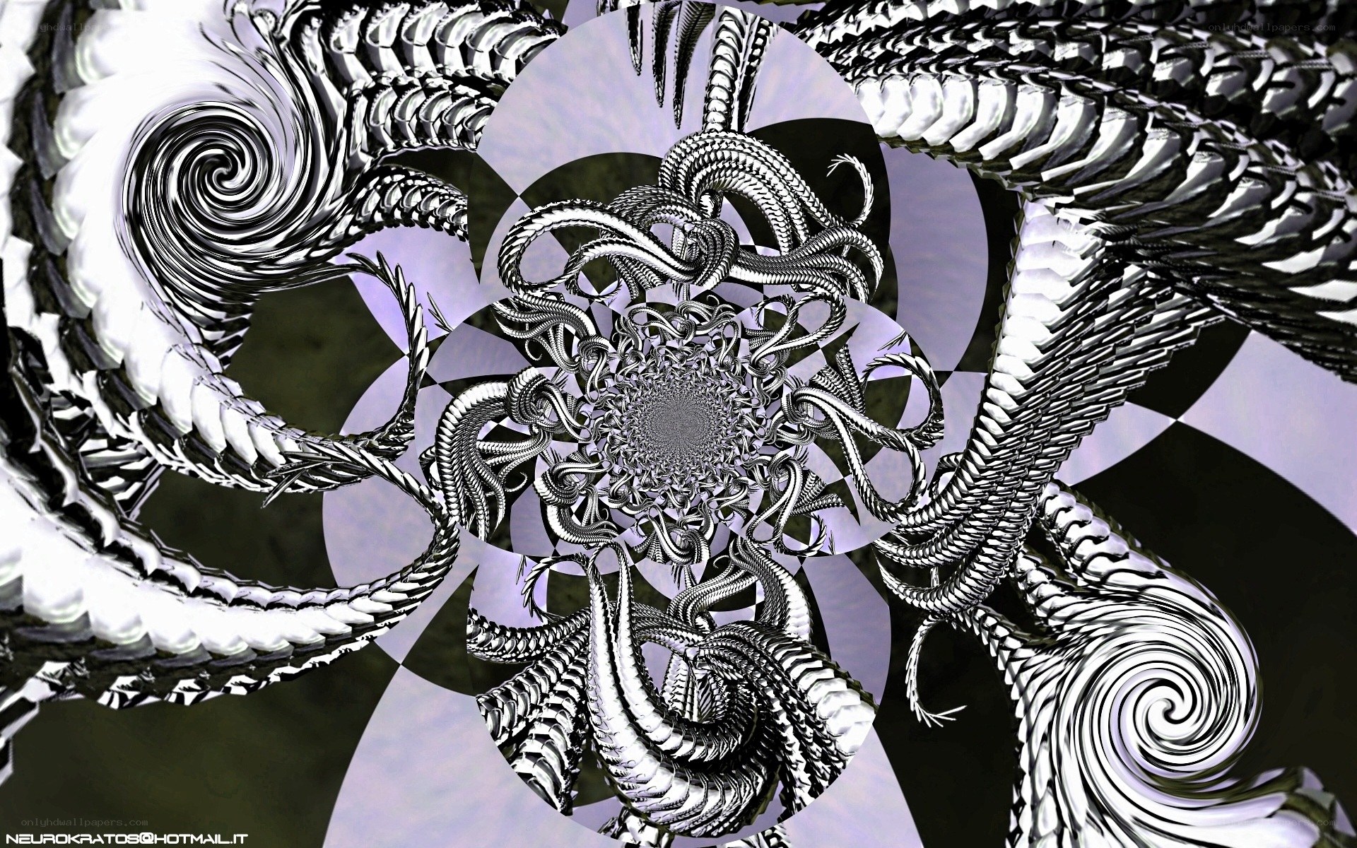 fractal spiral artwork