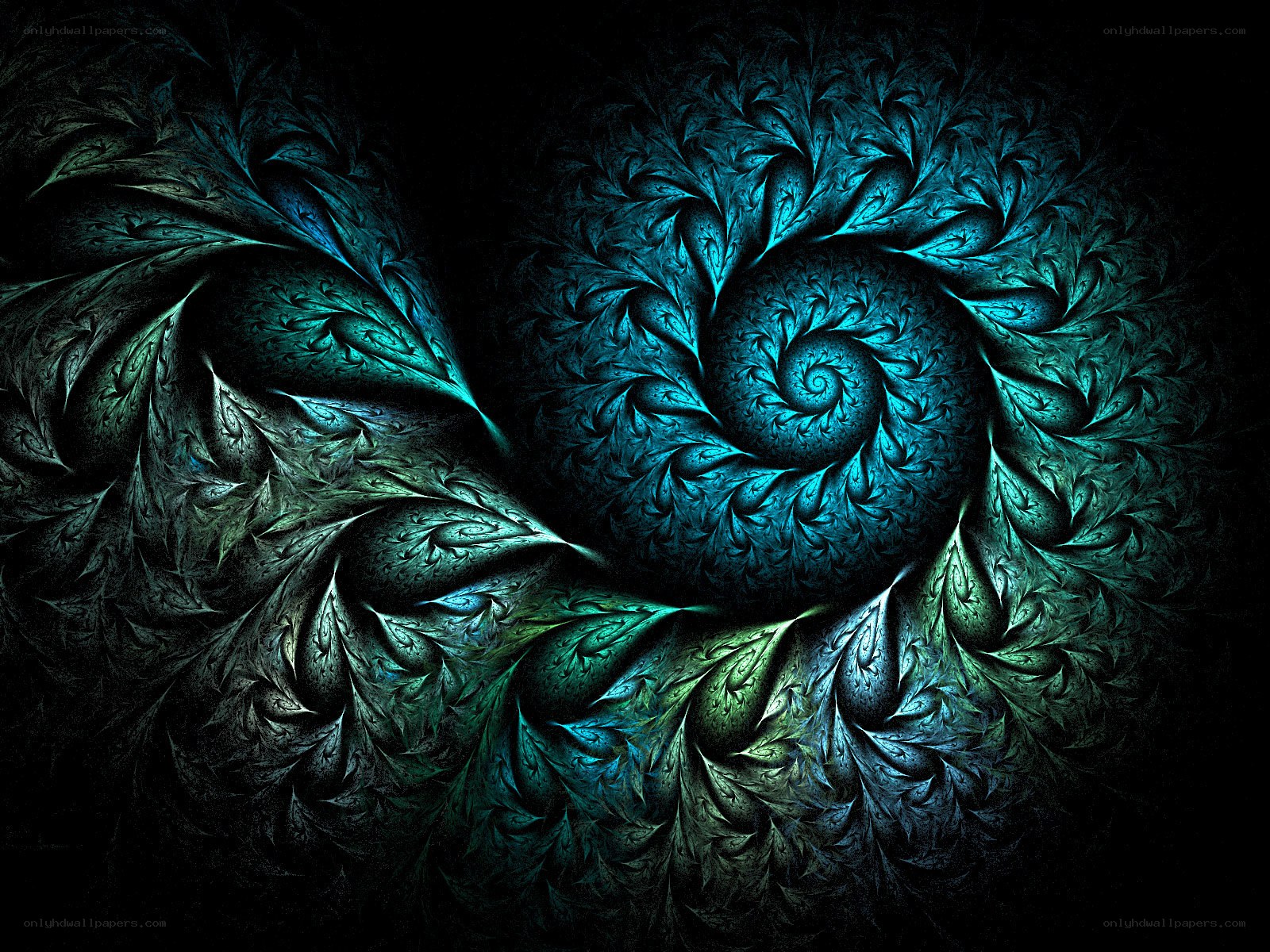 fractal spiral design