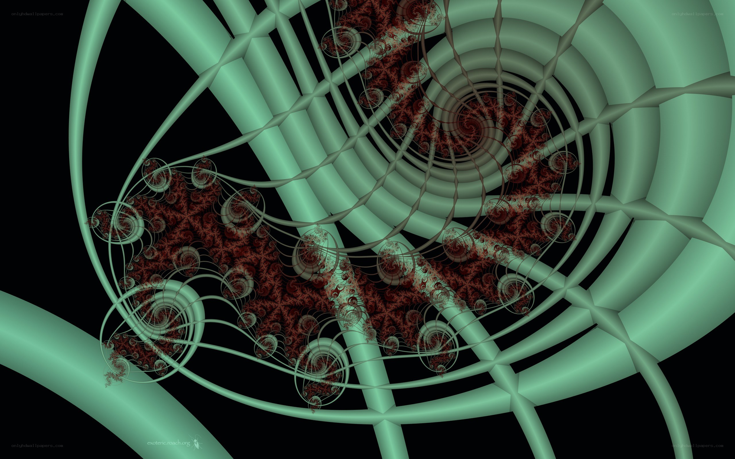 Fractal spiral design