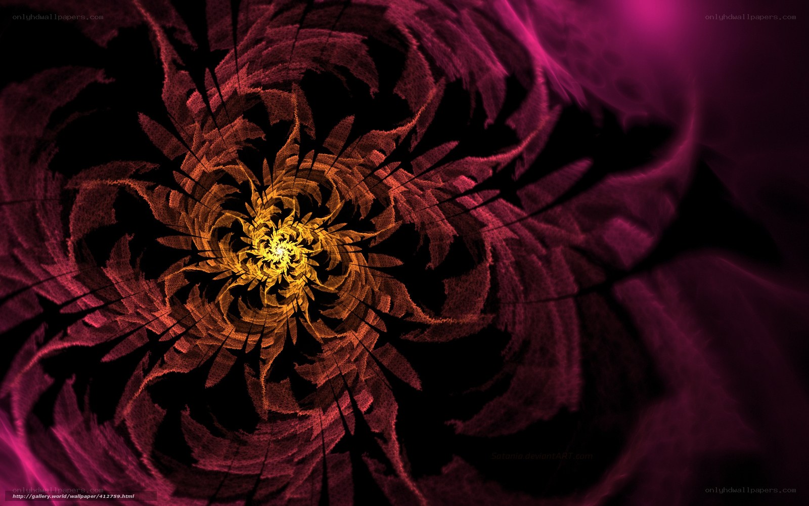 fractal spiral flower