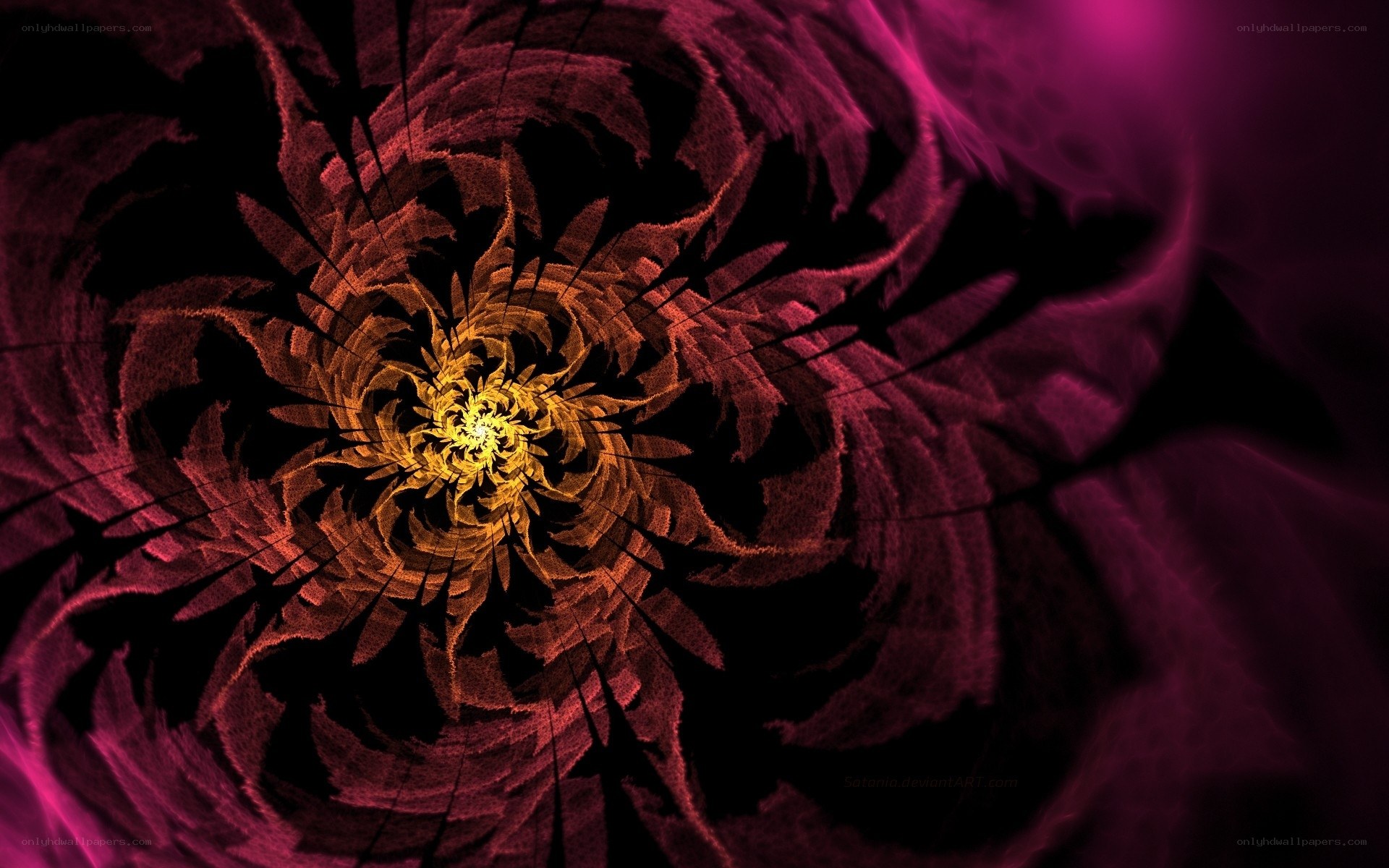 fractal spiral flower