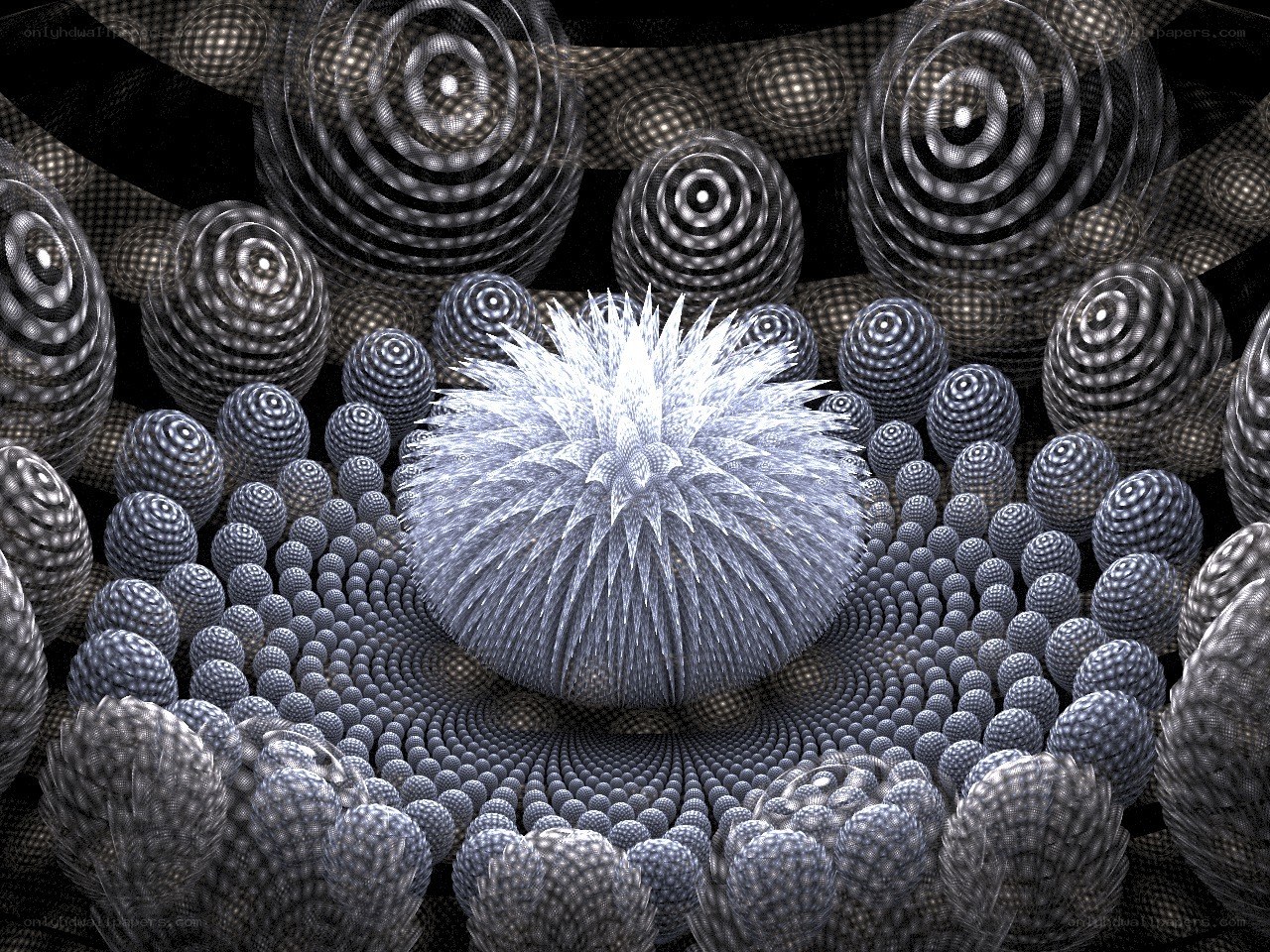Fractal spiral formations