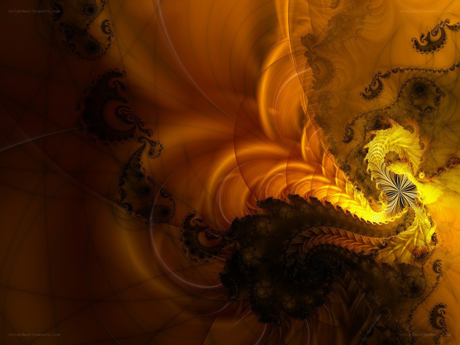 fractal spiral in warm tones