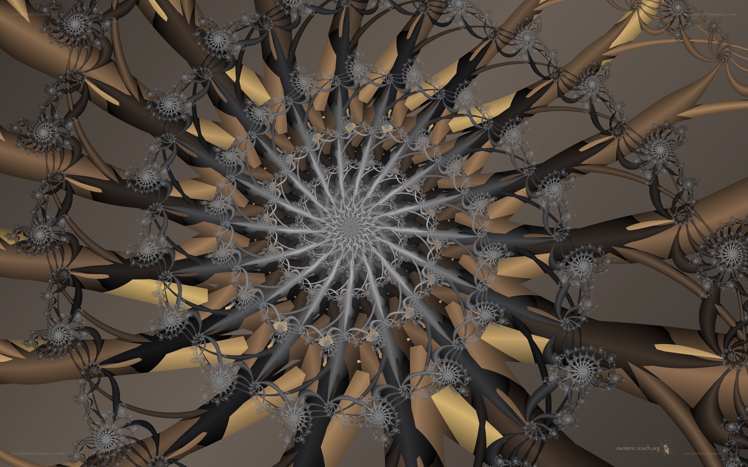 fractal spiral pattern