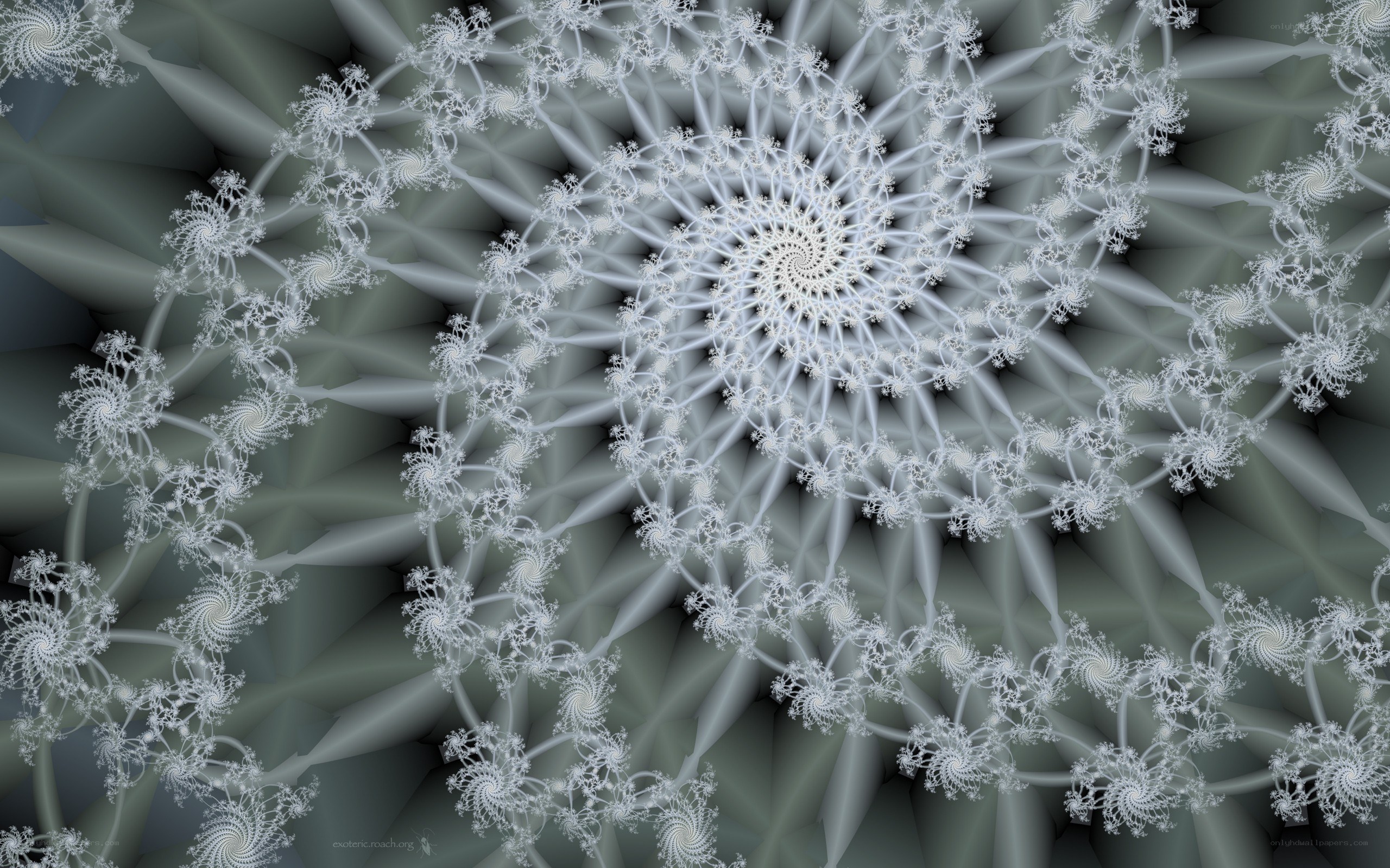 Fractal spiral pattern