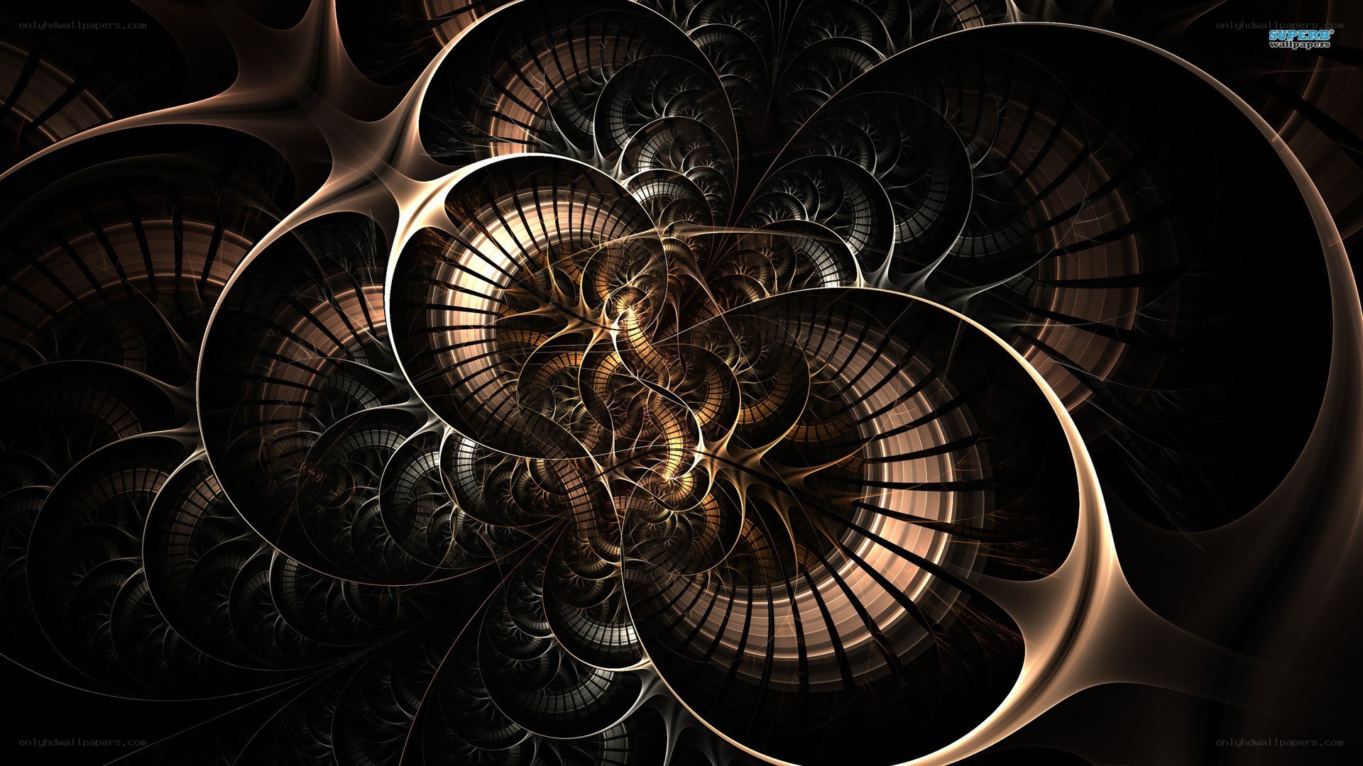 fractal spiral pattern