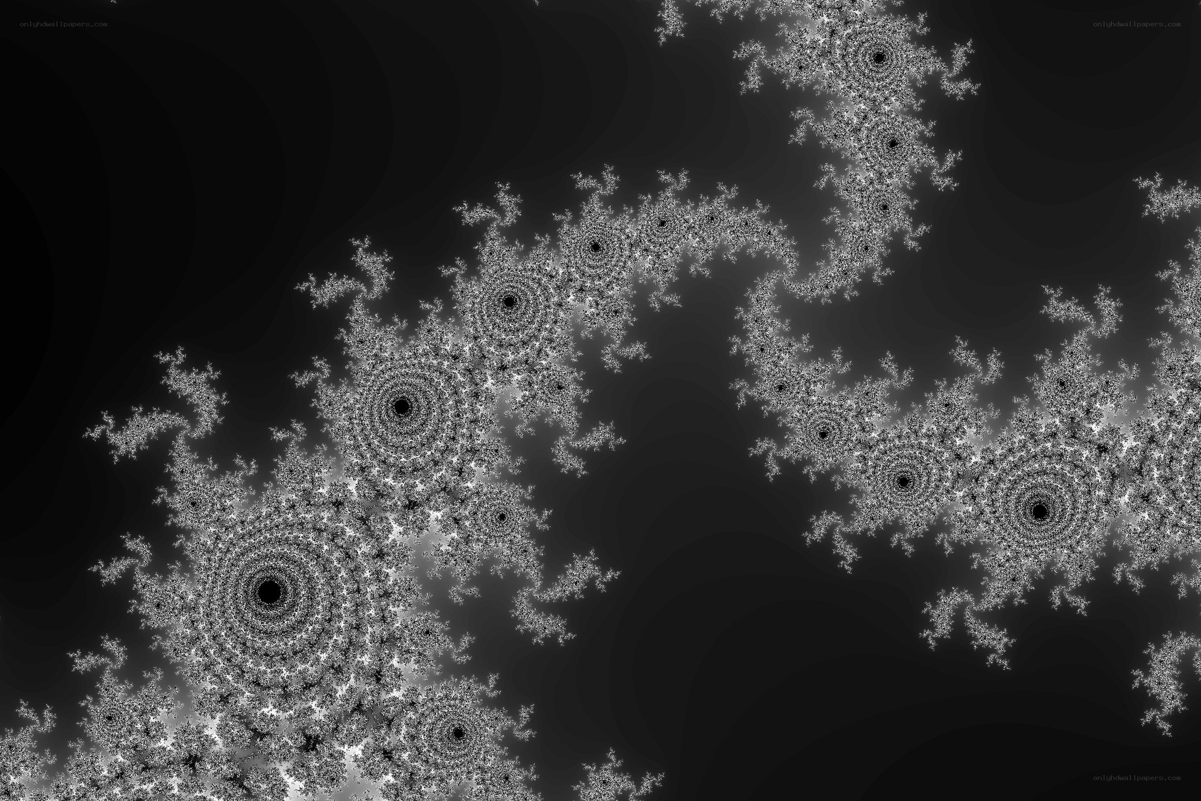 fractal spiral pattern
