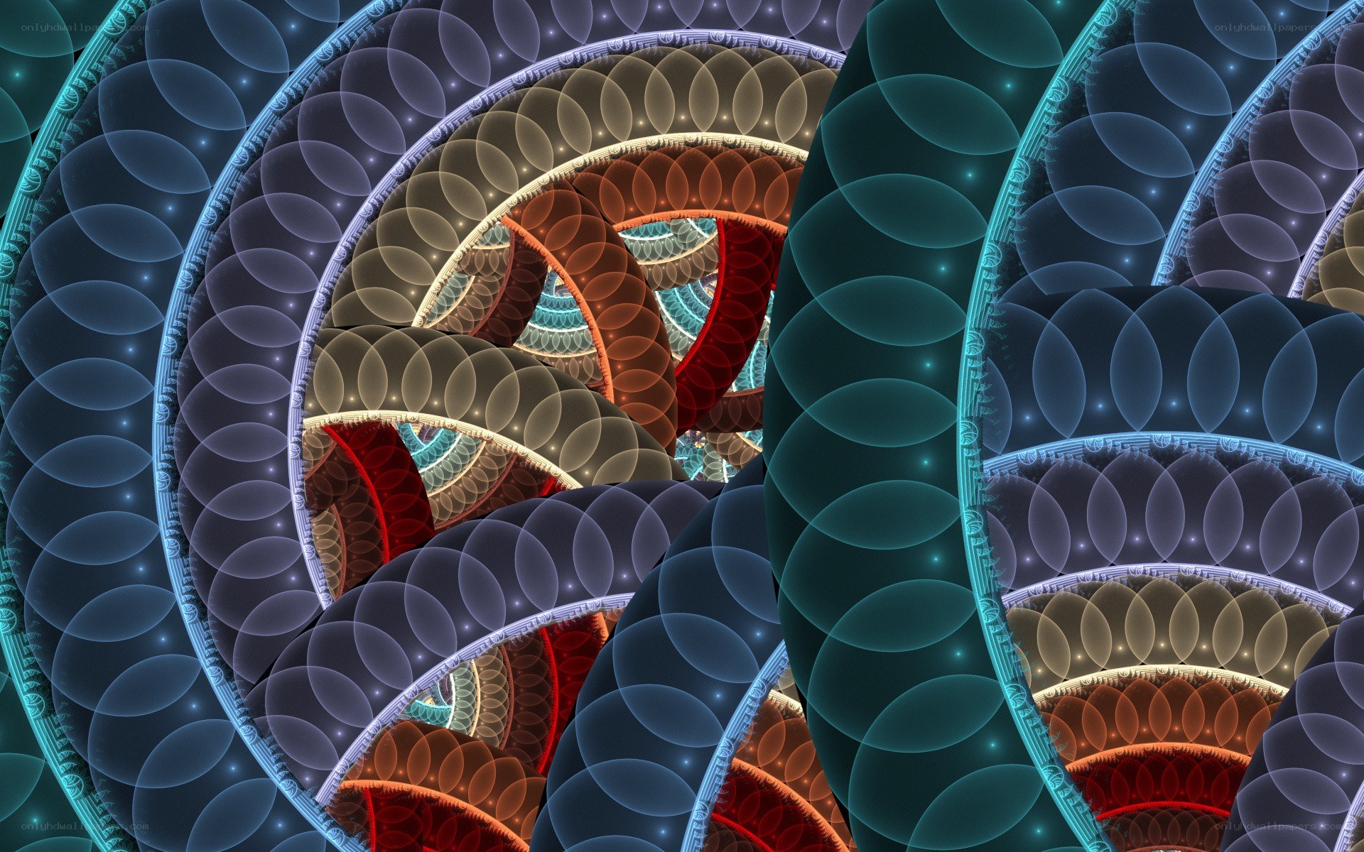 fractal spiral pattern