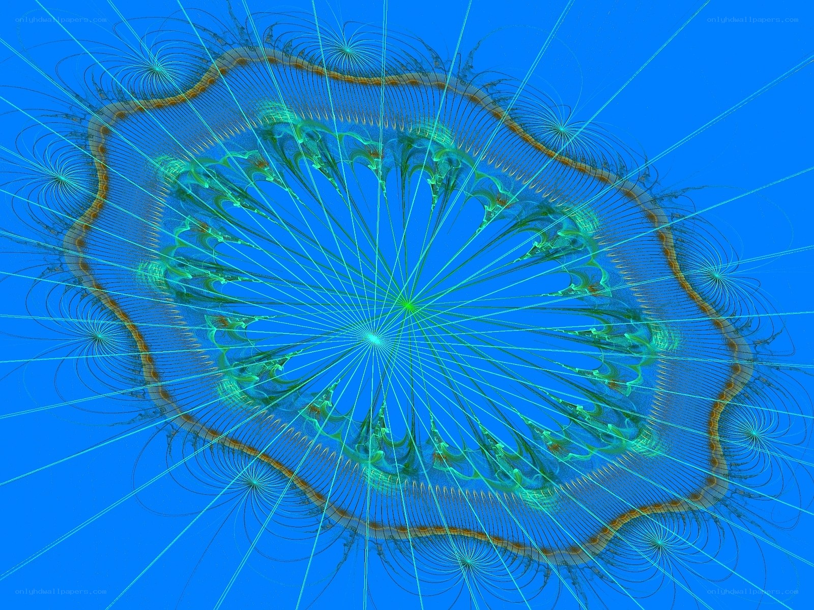fractal spiral pattern