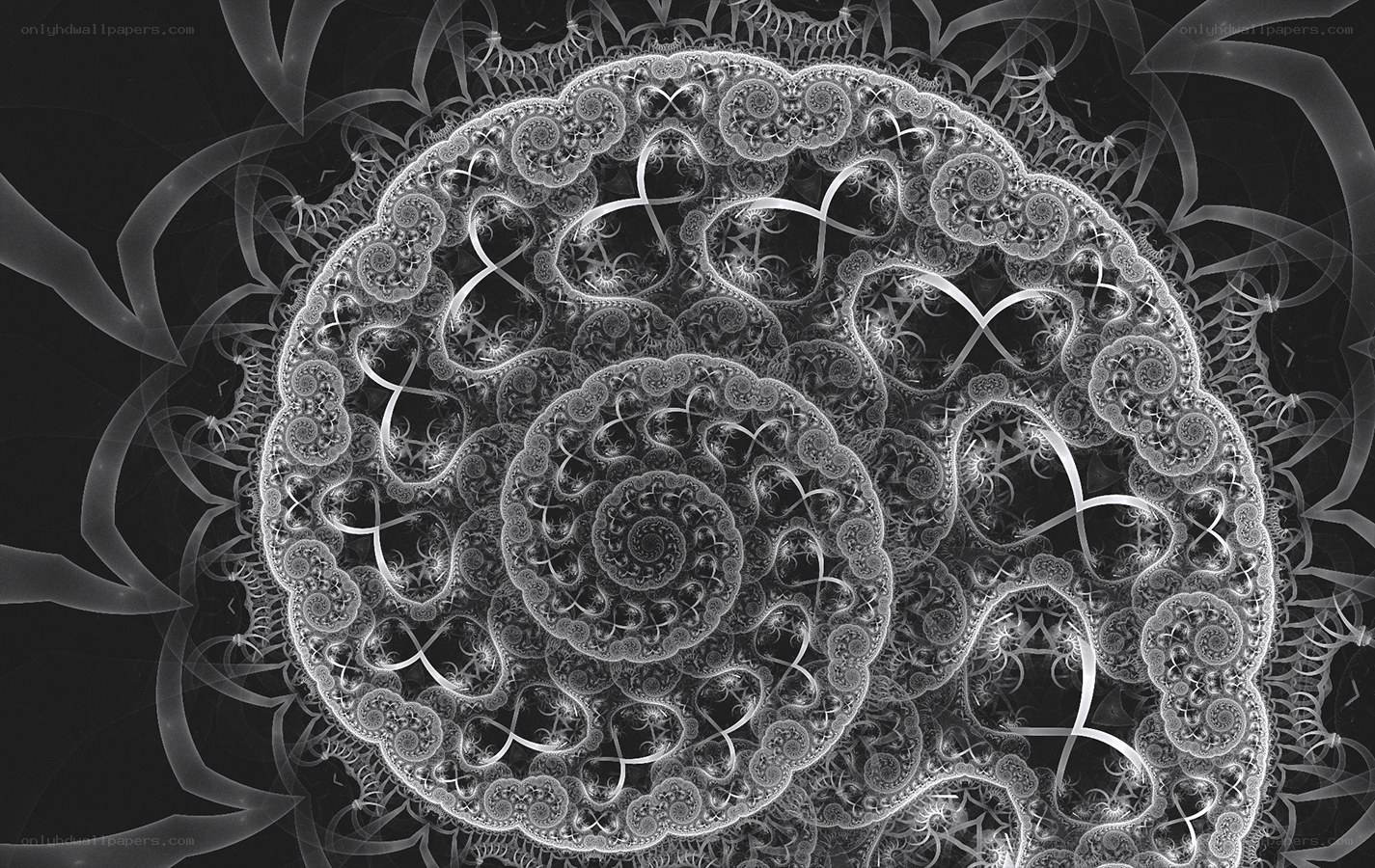 fractal spiral pattern