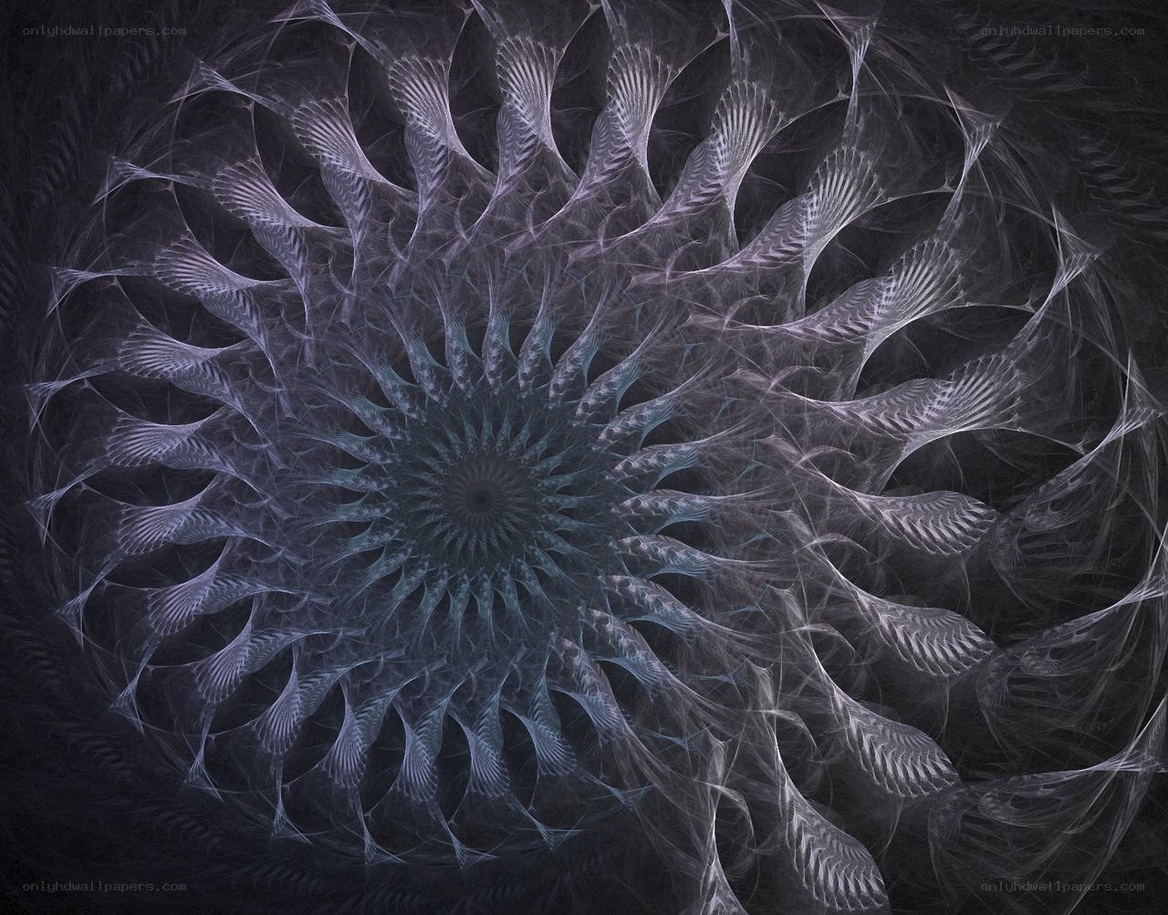 Fractal spiral pattern