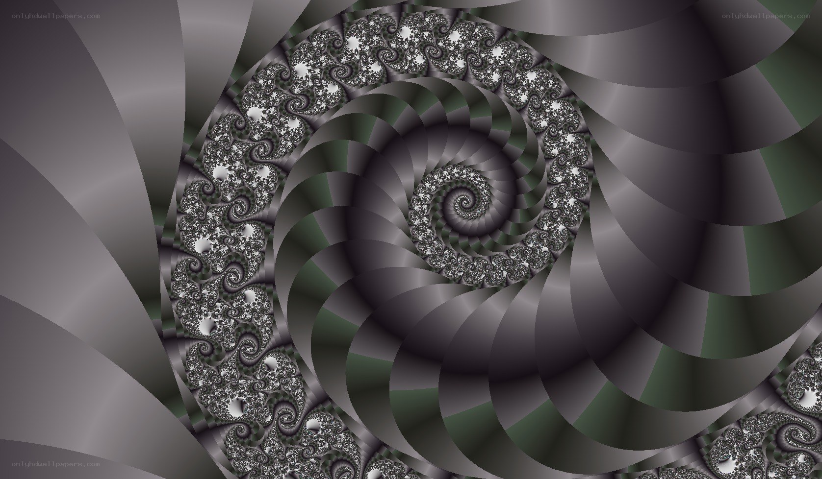 fractal spiral pattern