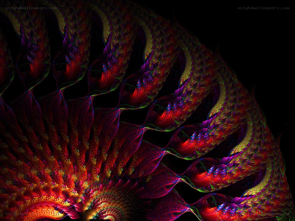 fractal spiral pattern