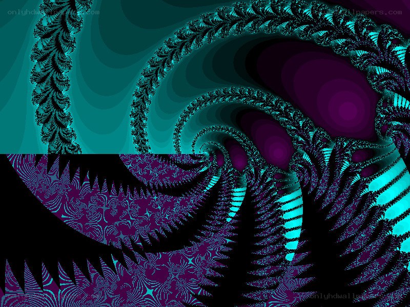 fractal spiral pattern
