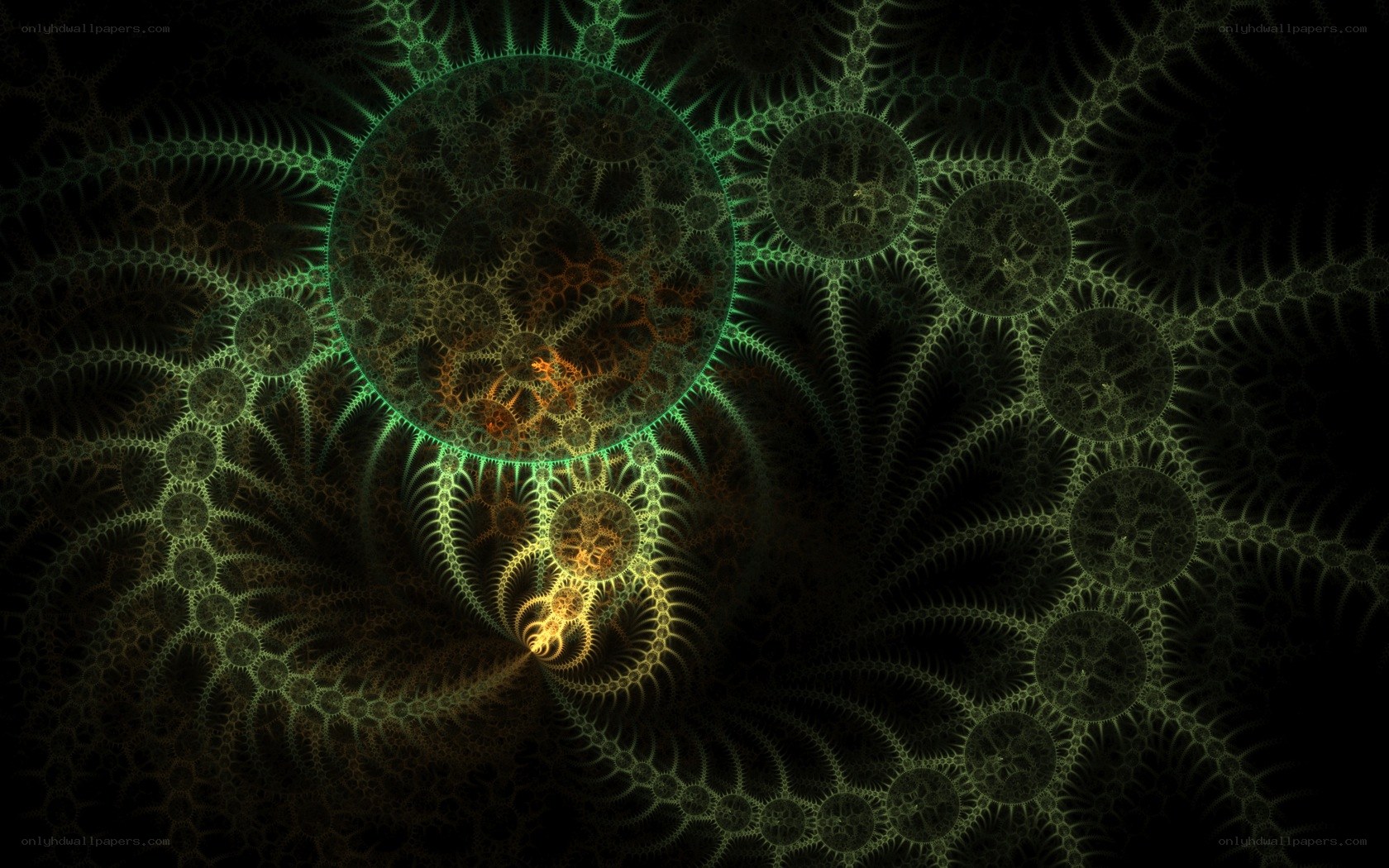 fractal spiral pattern