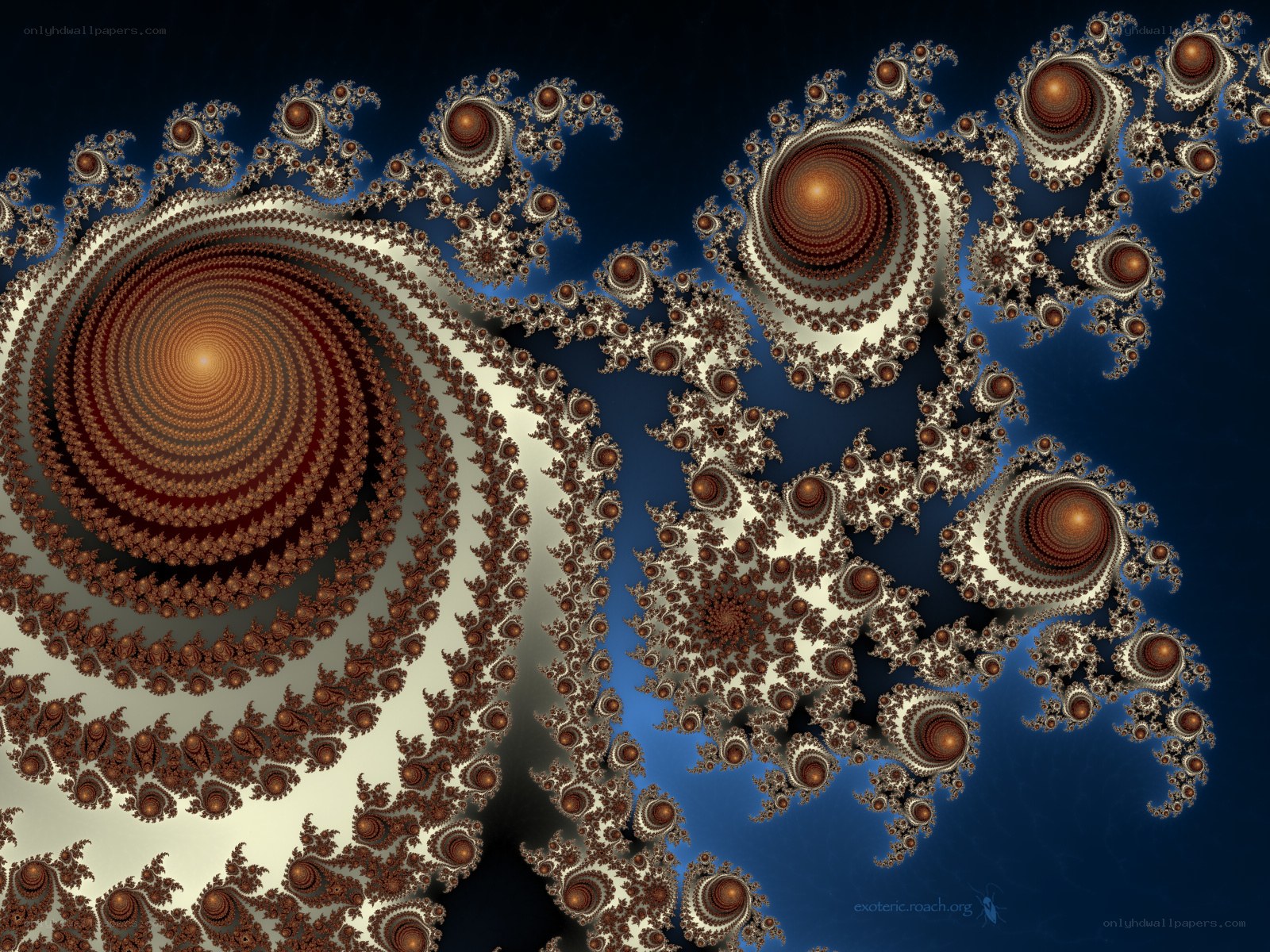 Fractal spiral pattern