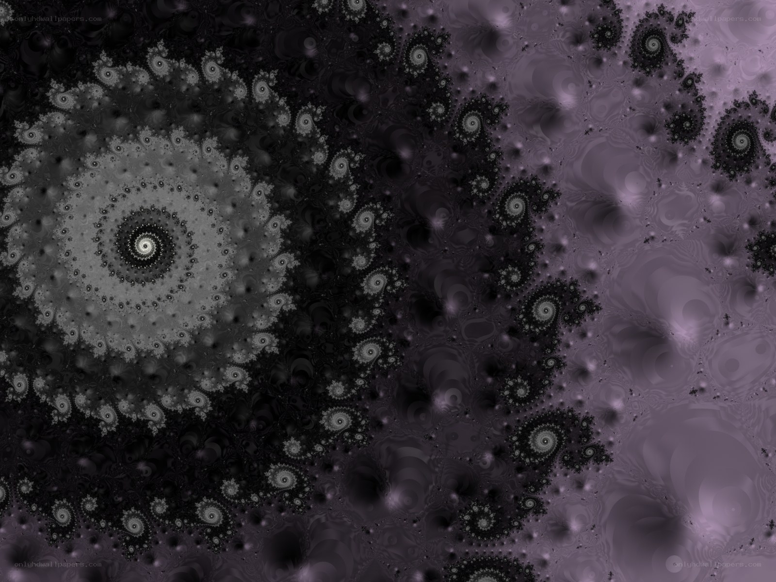 fractal spiral pattern