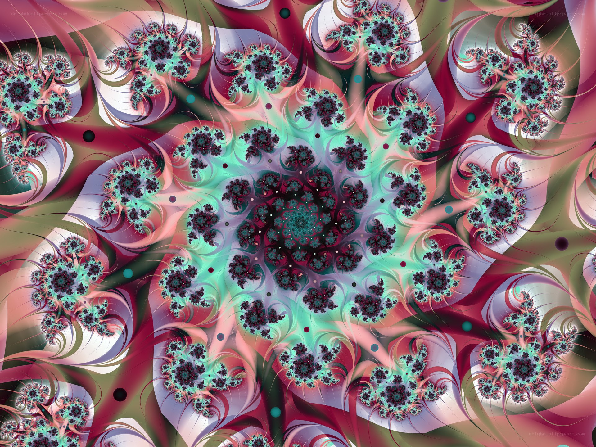 fractal spiral pattern