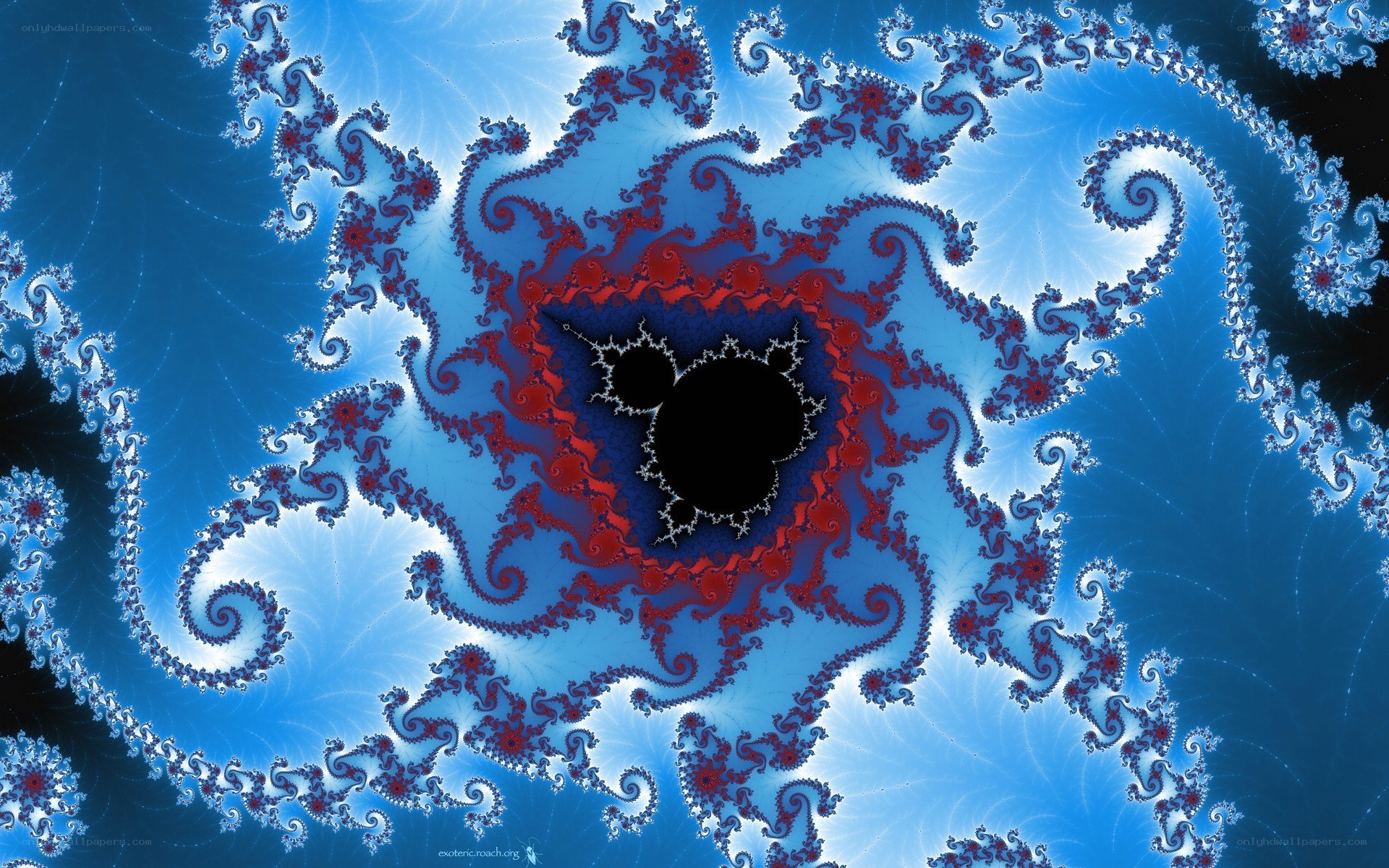 fractal spiral pattern