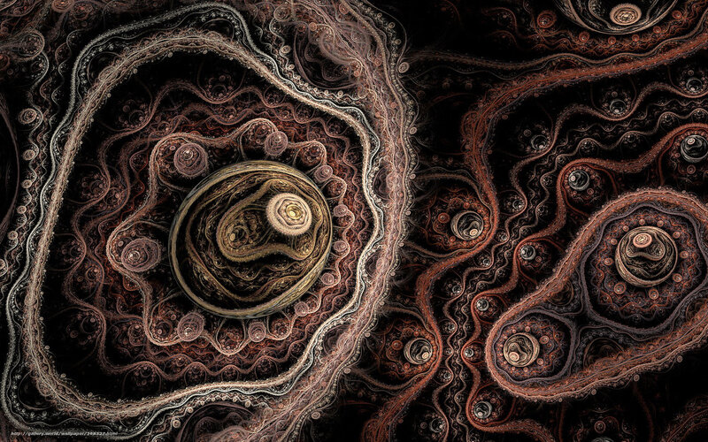 Fractal Spiral Pattern — Black, Hypnotic