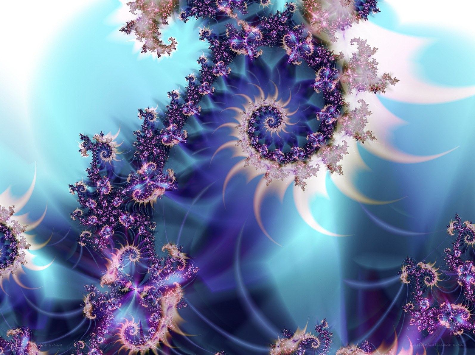 fractal spiral patterns