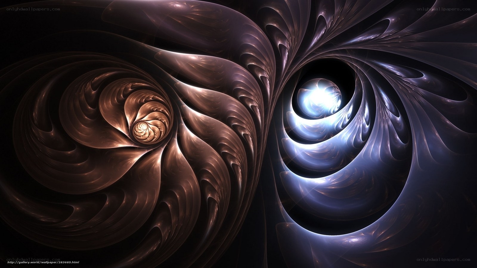 Fractal spiral vortex
