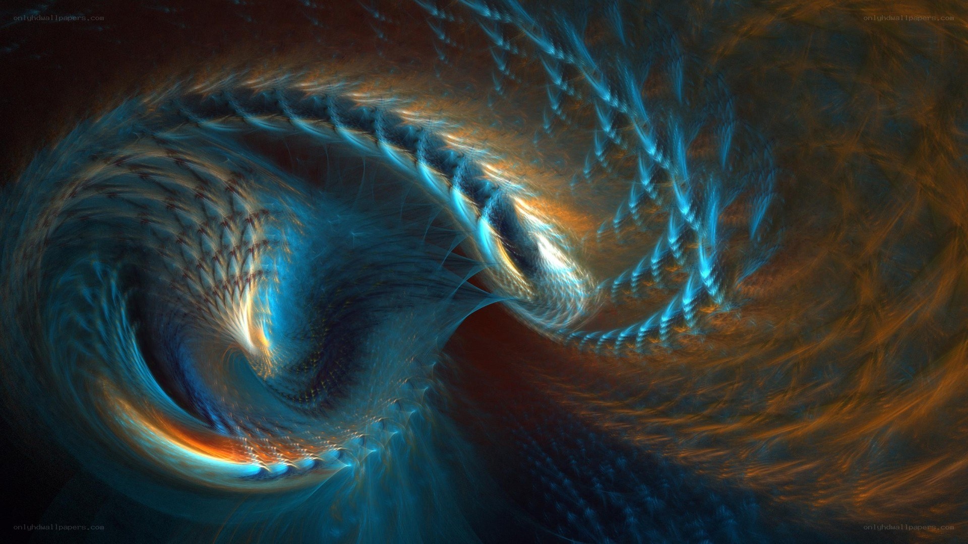 fractal spiral vortex