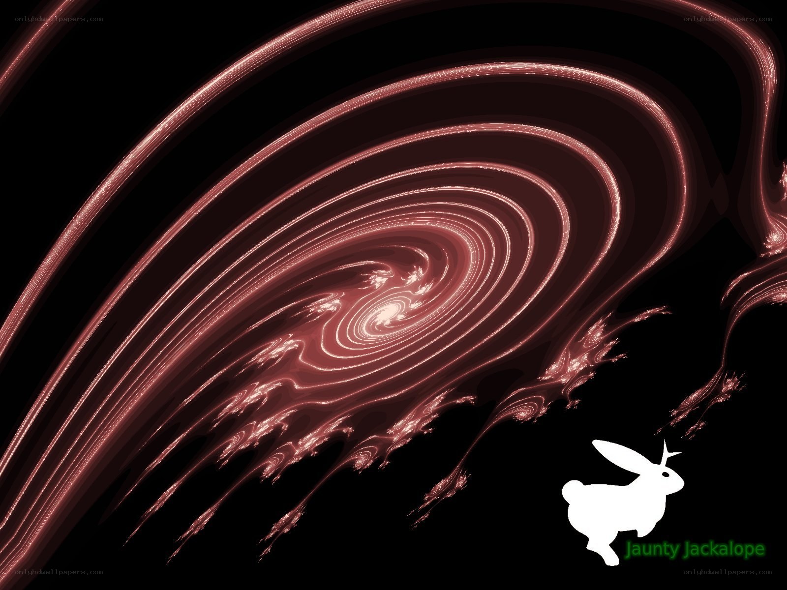 fractal spiral with rabbit logo