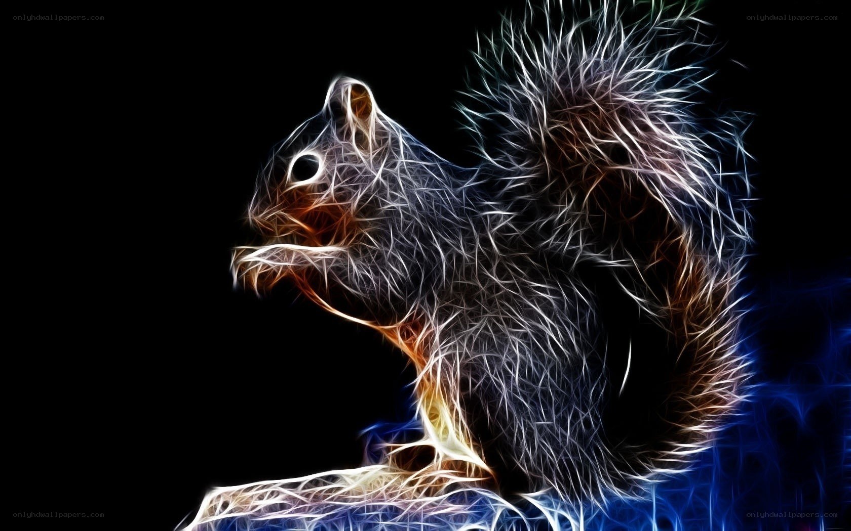 fractal squirrel artwork
