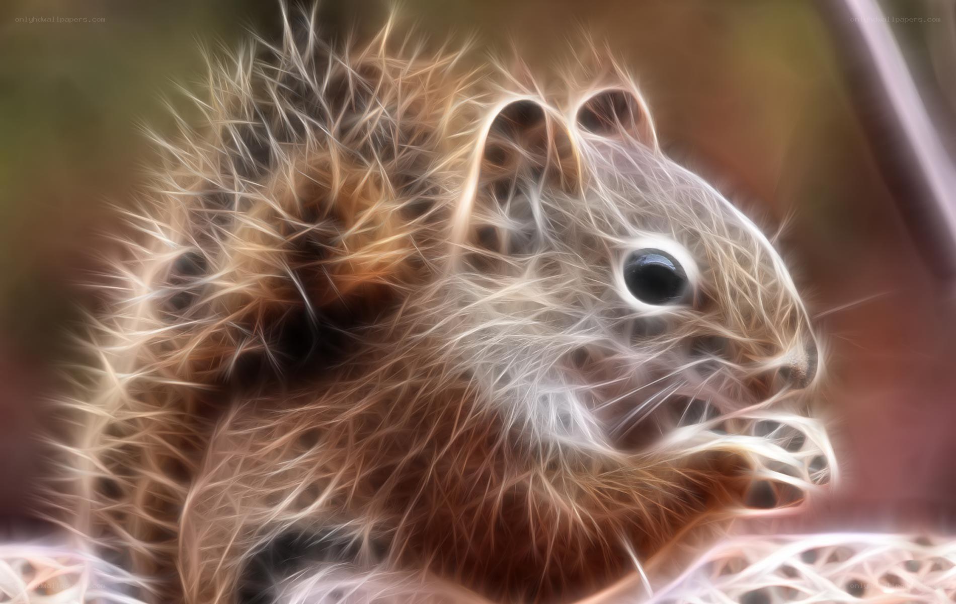 fractal squirrel portrait