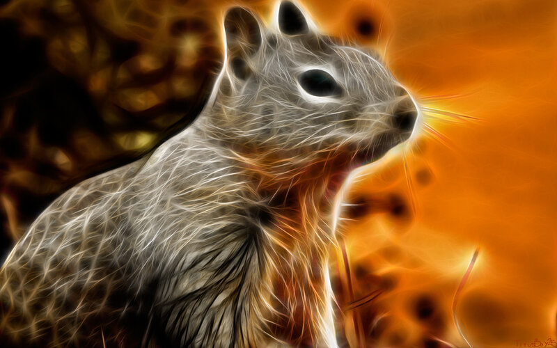 fractal squirrel portrait