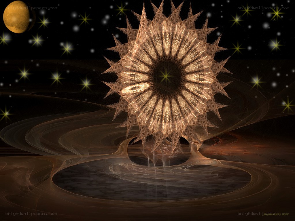 Fractal star in cosmic landscape