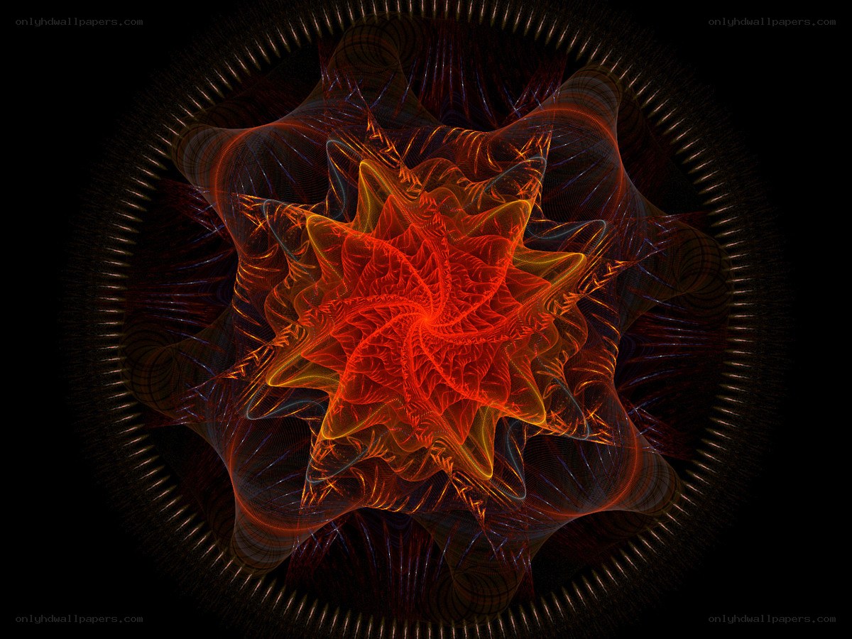 fractal star pattern