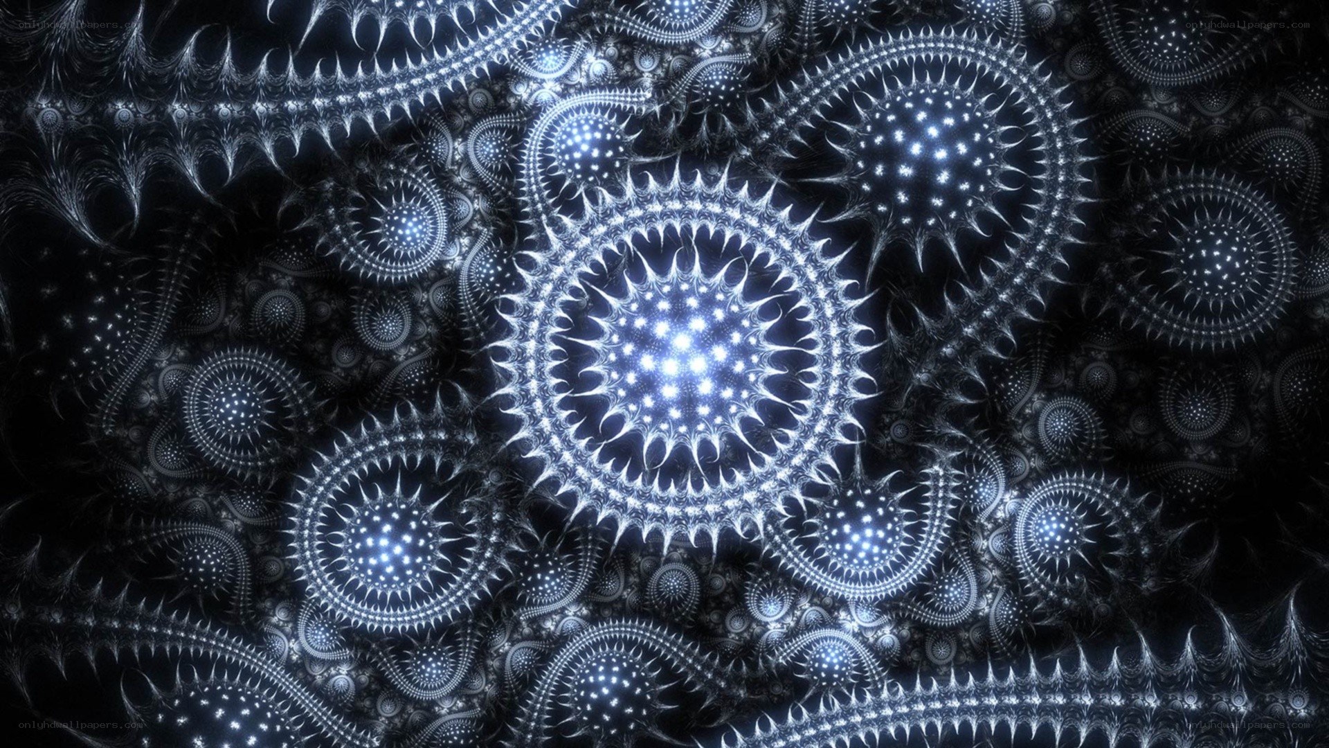 fractal star patterns