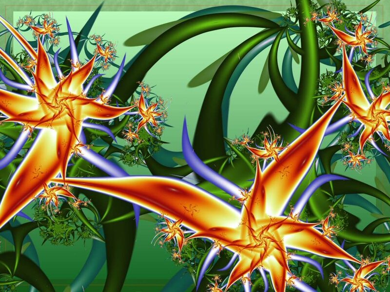 Fractal Star Plants