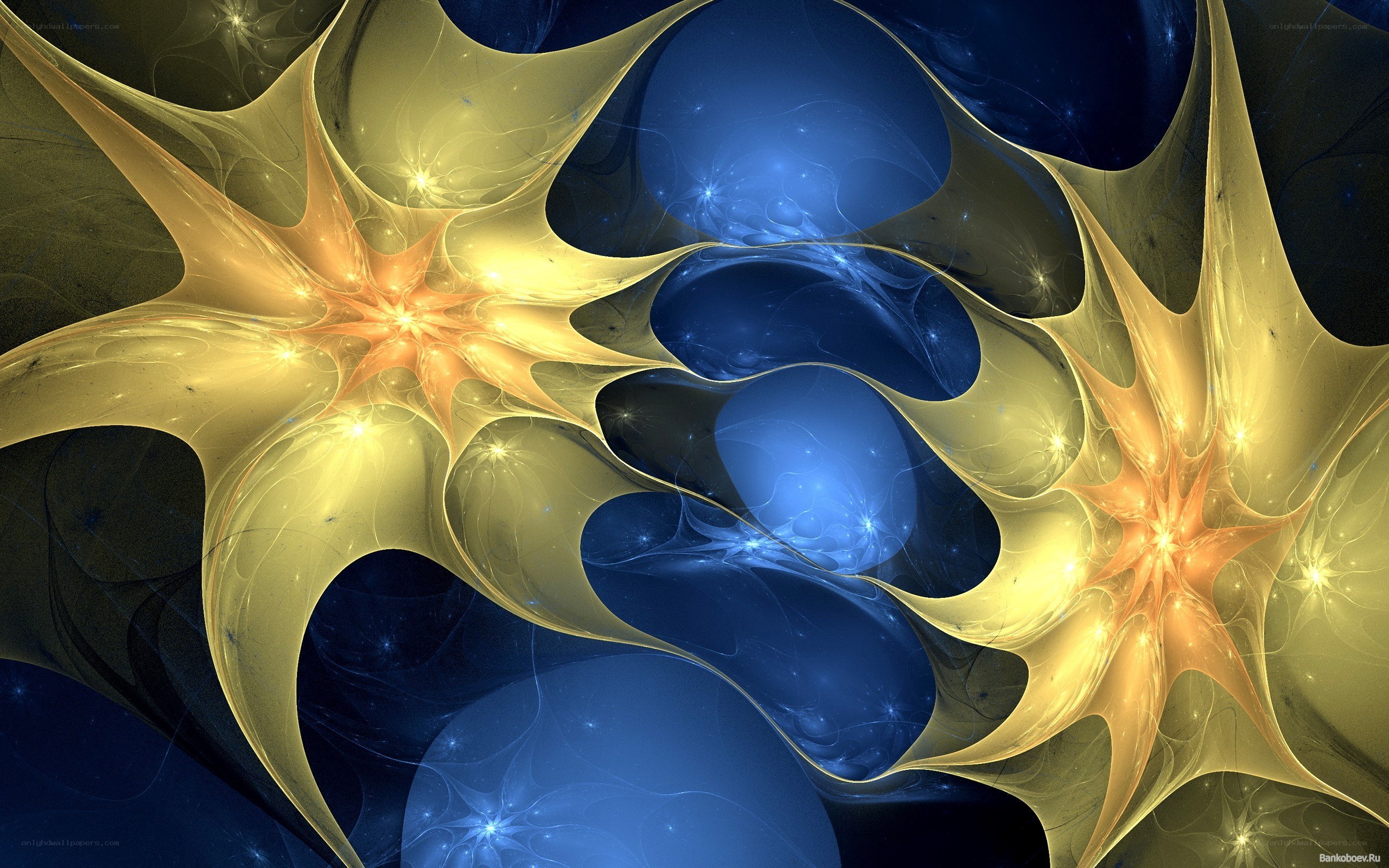fractal starburst patterns