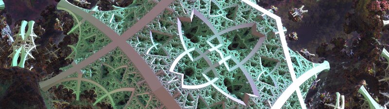Fractal Structure in Alien Landscape