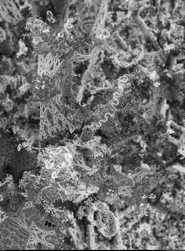 Fractal structure under microscope