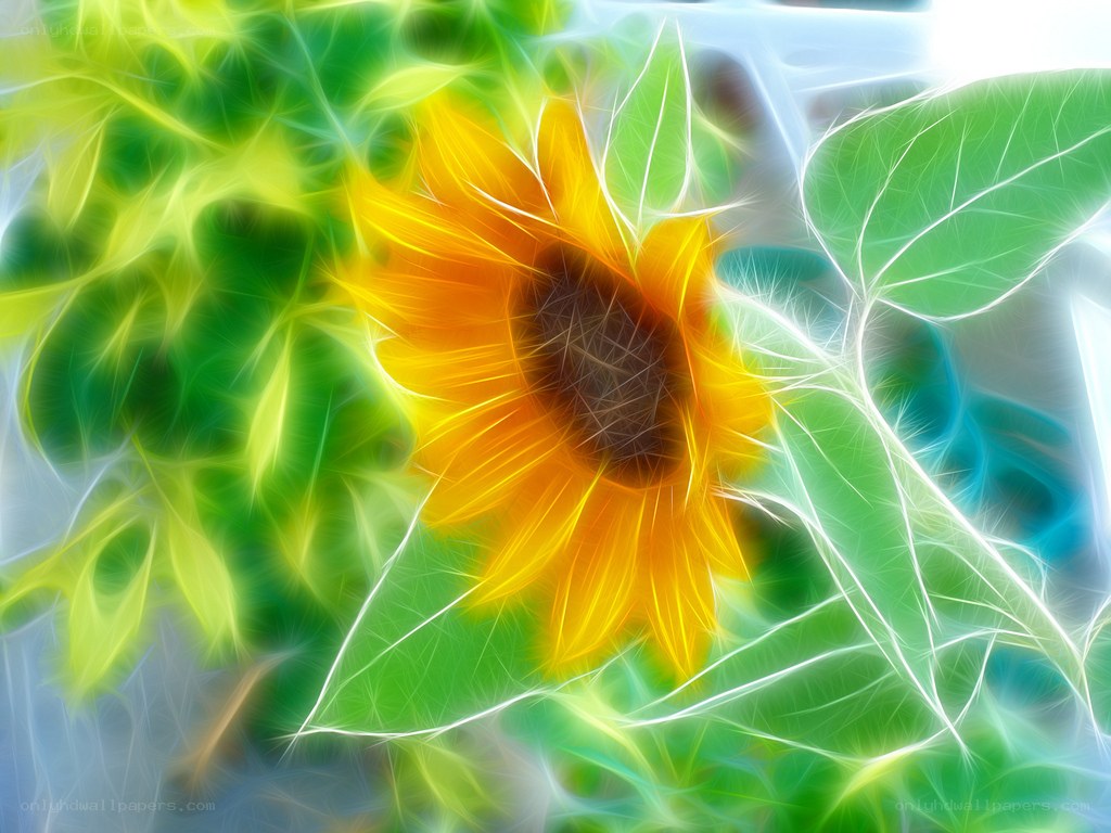 fractal sunflower art