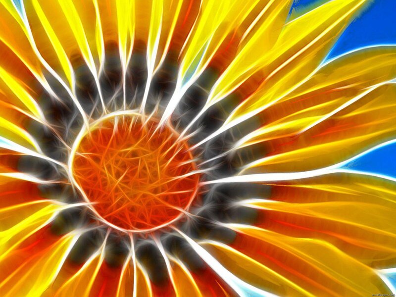 Fractal Sunflower