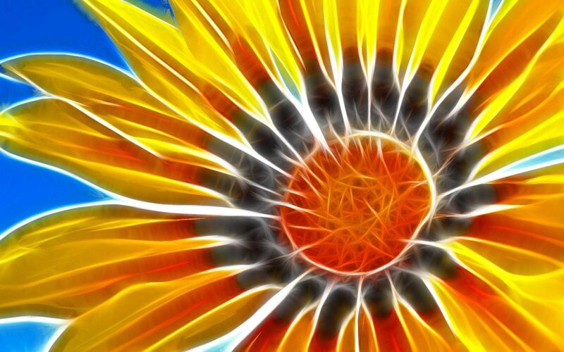 Fractal Sunflower — Yellow
