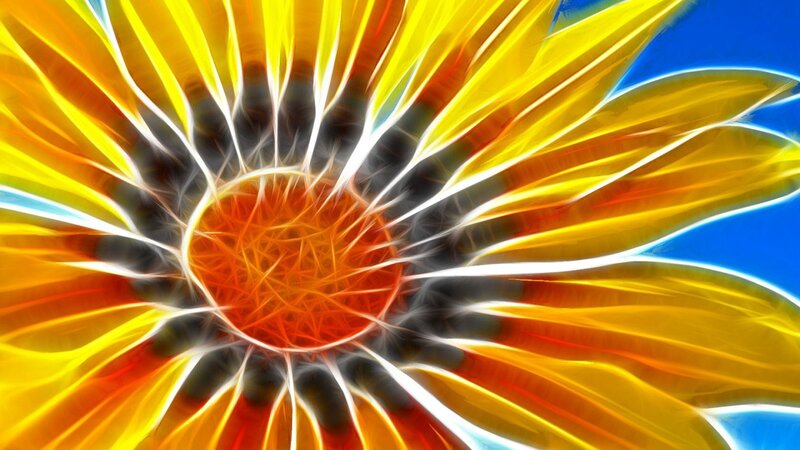 Fractal Sunflower — Yellow, Vibrant