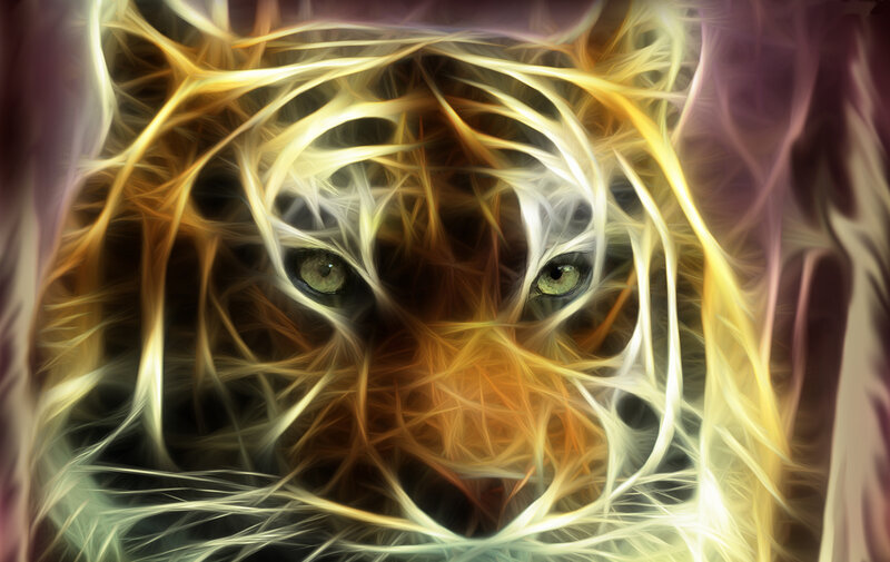 fractal tiger eyes