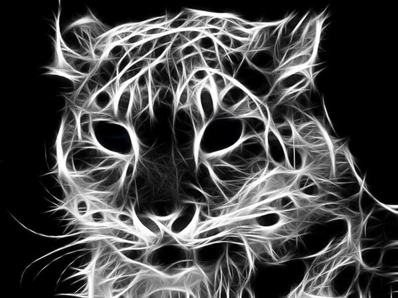 fractal tiger face art