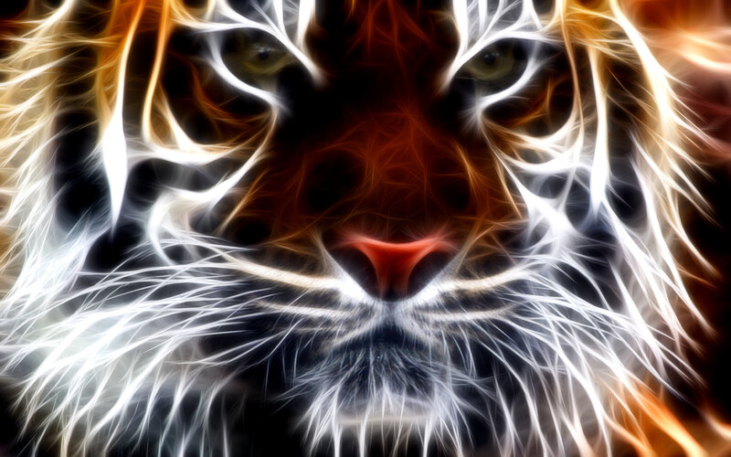 fractal tiger face