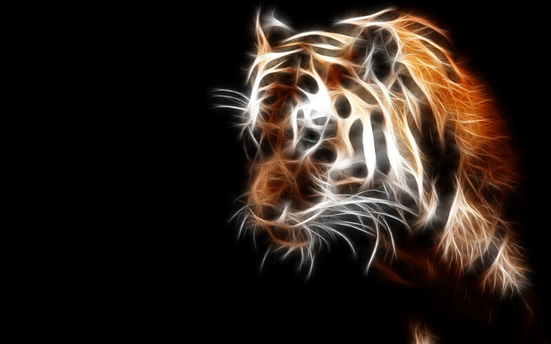 fractal tiger head art